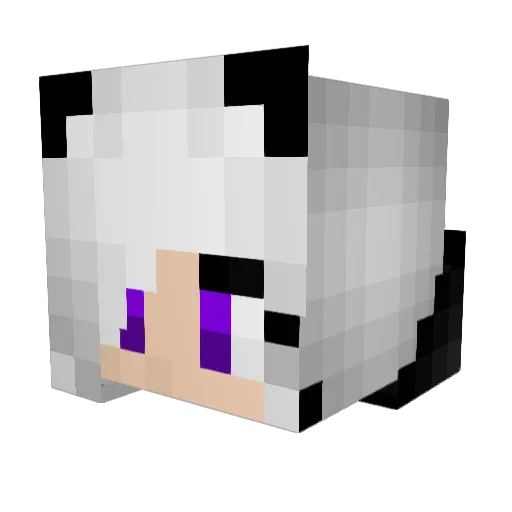 sobbleman Minecraft avatar head, 3D render