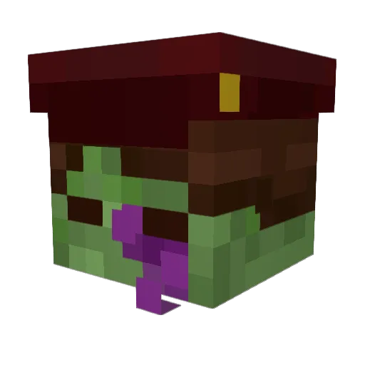 soberintrovert Minecraft avatar head, 3D render