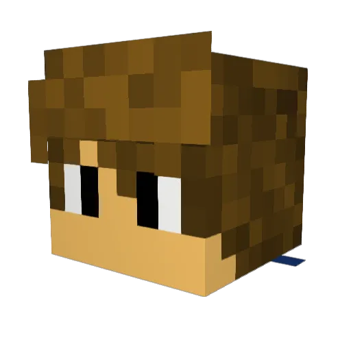 sobres99 Minecraft avatar head, 3D render