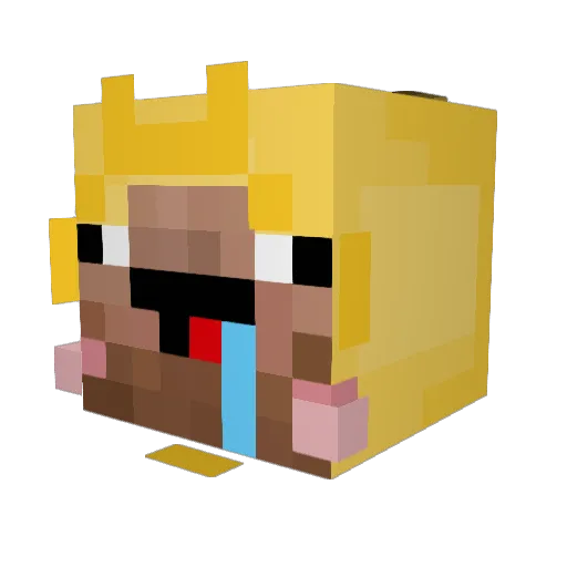 sobzr Minecraft avatar head, 3D render