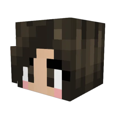 socalgary Minecraft avatar head, 3D render