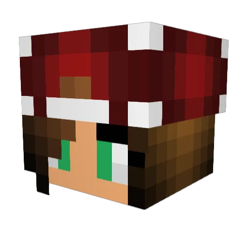 soccer3434 Minecraft avatar head, 3D render