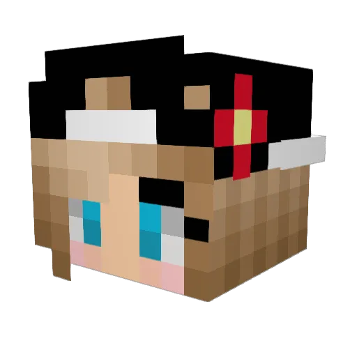soccer_monkey60 Minecraft avatar head, 3D render