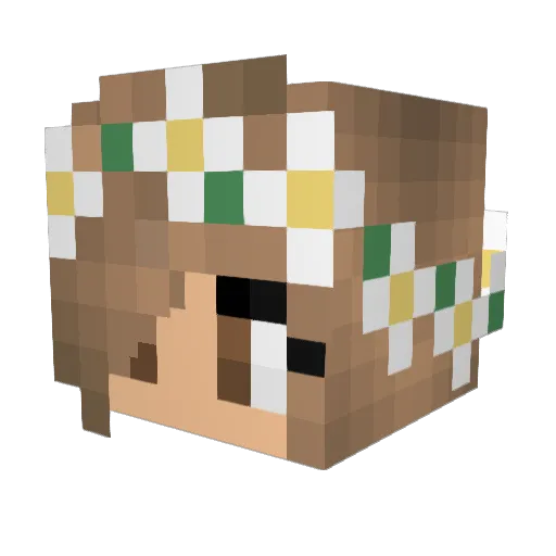 soccernuts Minecraft avatar head, 3D render