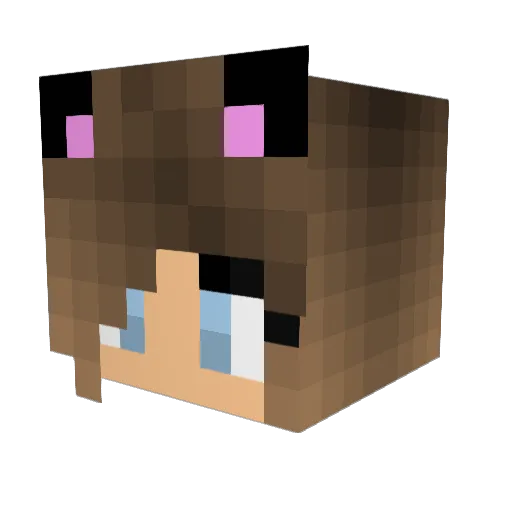 soccerrunner89 Minecraft avatar head, 3D render
