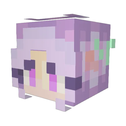 soccerstar12123 Minecraft avatar head, 3D render