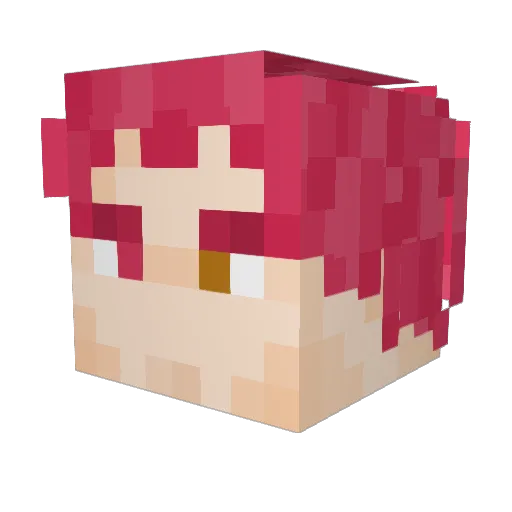 social_creditor Minecraft avatar head, 3D render