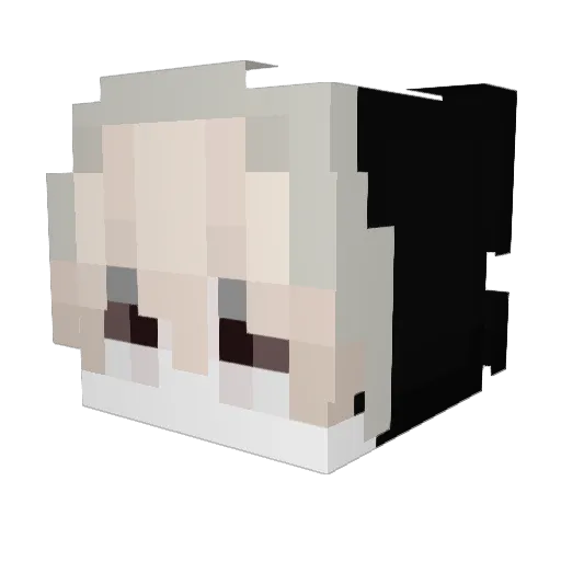 socialbtw Minecraft avatar head, 3D render