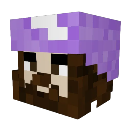 societyfixer Minecraft avatar head, 3D render