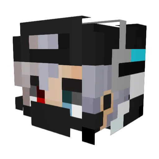 sock_G59 Minecraft avatar head, 3D render