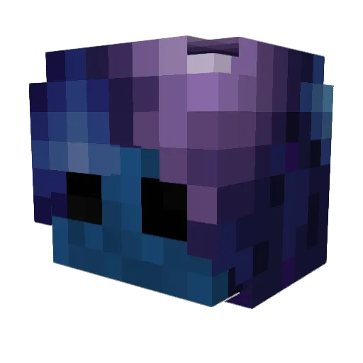 sock_blaster Minecraft avatar head, 3D render