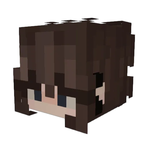 sockck Minecraft avatar head, 3D render