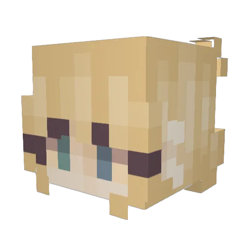 sockkie Minecraft avatar head, 3D render