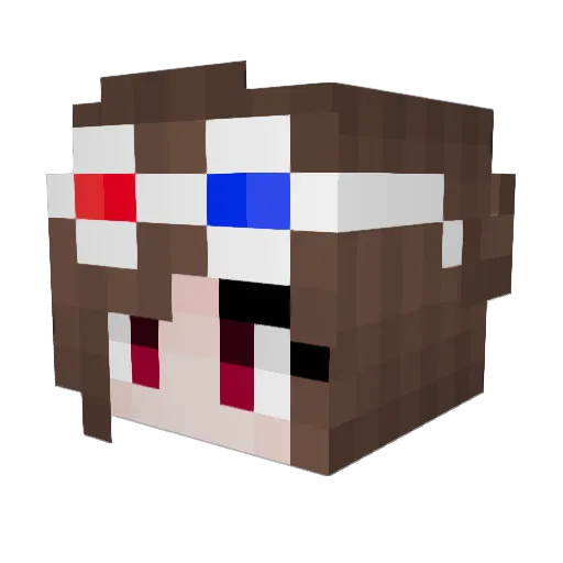 sockmonkey4651 Minecraft avatar head, 3D render