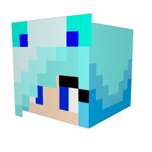 sockmonkey4life Minecraft avatar head, 3D render