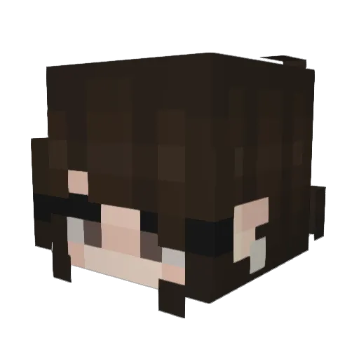 socks05231 Minecraft avatar head, 3D render