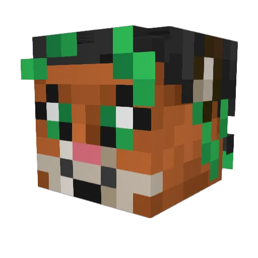 socks_the_fox Minecraft avatar head, 3D render