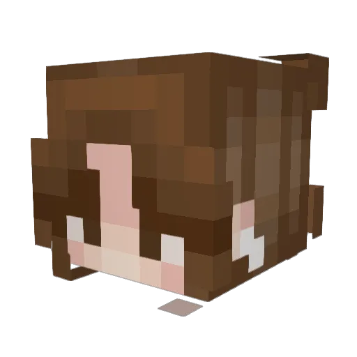 socksinsocks Minecraft avatar head, 3D render
