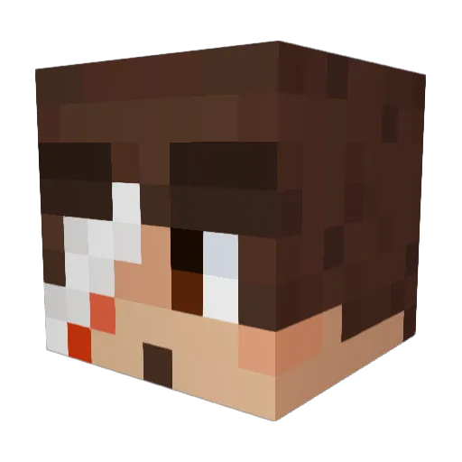 sockslad Minecraft avatar head, 3D render