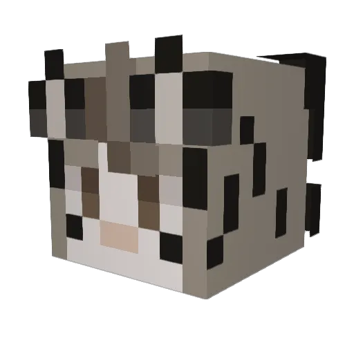 socohC Minecraft avatar head, 3D render