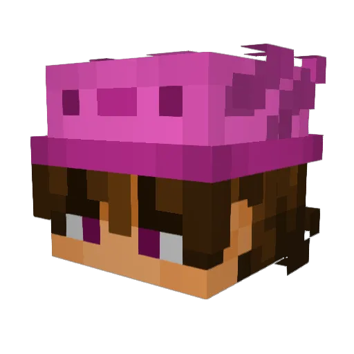 sodacuzynot Minecraft avatar head, 3D render