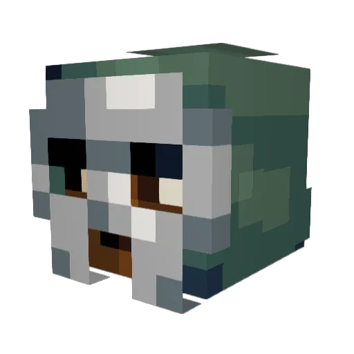 sodadrinker43_ Minecraft avatar head, 3D render