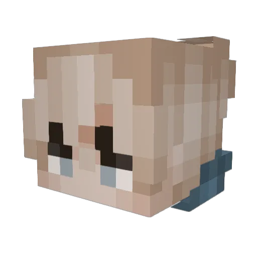 sodasal Minecraft avatar head, 3D render