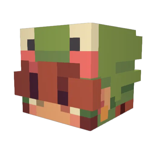 soeonn Minecraft avatar head, 3D render