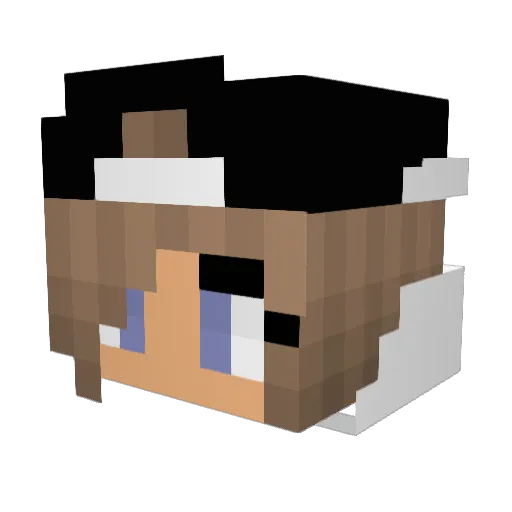 soesjepower Minecraft avatar head, 3D render