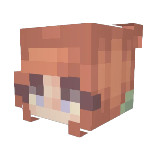 sofa1125 Minecraft avatar head, 3D render