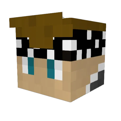 sofahogger Minecraft avatar head, 3D render