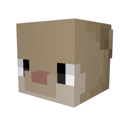 soferty Minecraft avatar head, 3D render