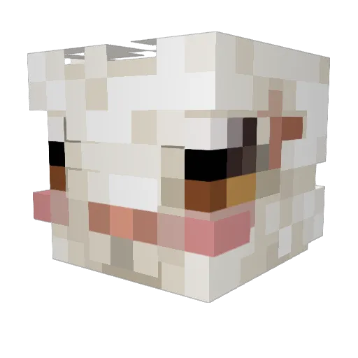 soffnell Minecraft avatar head, 3D render