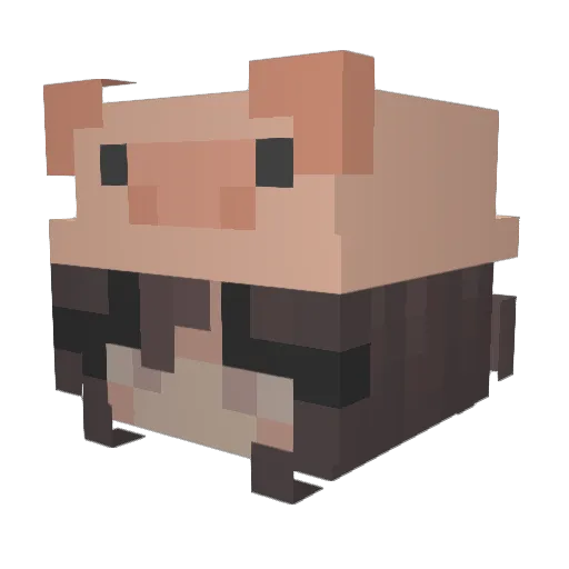 sofgy Minecraft avatar head, 3D render