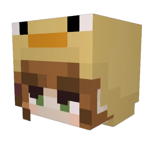 sofi2508 Minecraft avatar head, 3D render