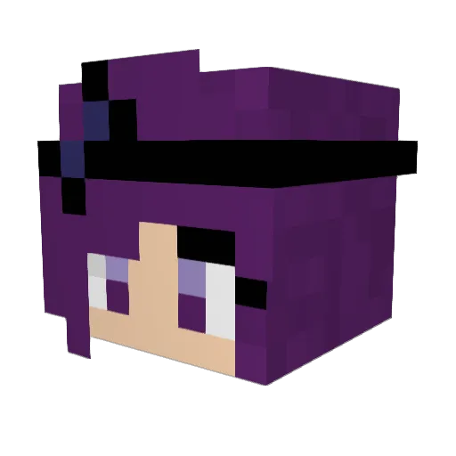 sofi291e Minecraft avatar head, 3D render