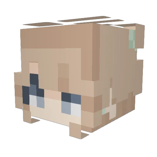 sofi_06 Minecraft avatar head, 3D render