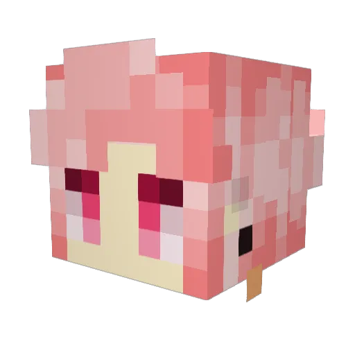 sofiaWGF08 Minecraft avatar head, 3D render