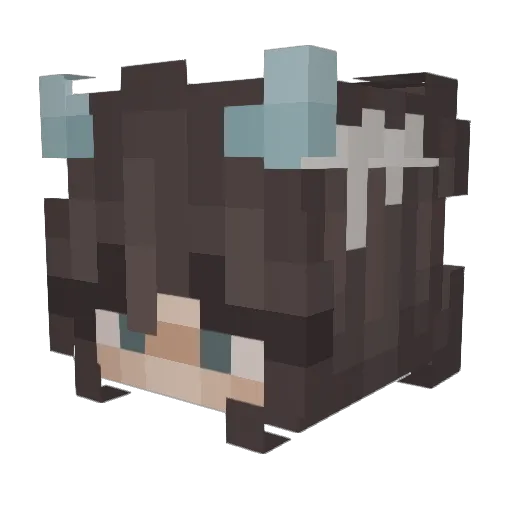 sofia_x Minecraft avatar head, 3D render