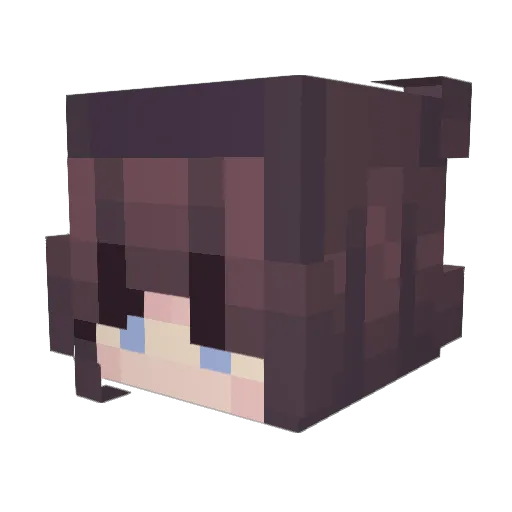 sofiadunk Minecraft avatar head, 3D render