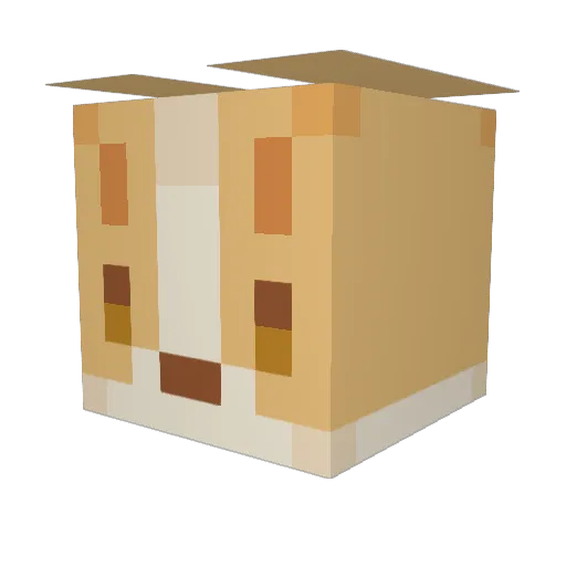 sofiaisreading Minecraft avatar head, 3D render