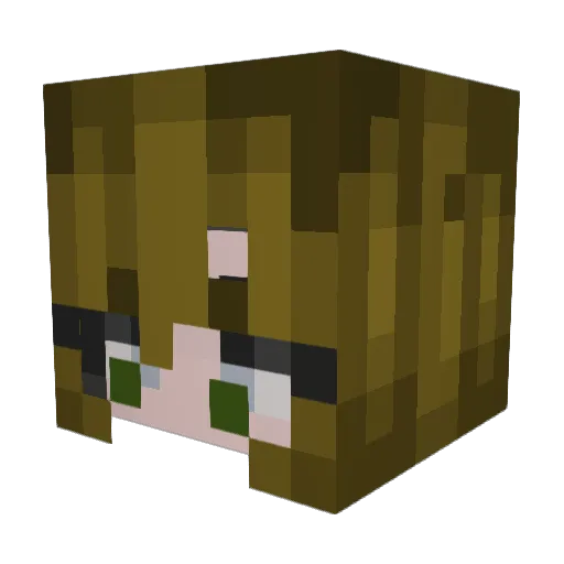 sofiassswag Minecraft avatar head, 3D render