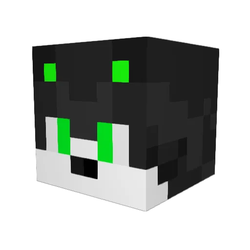 sofibelen07 Minecraft avatar head, 3D render