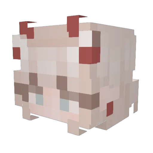 sofiexoxoxo Minecraft avatar head, 3D render