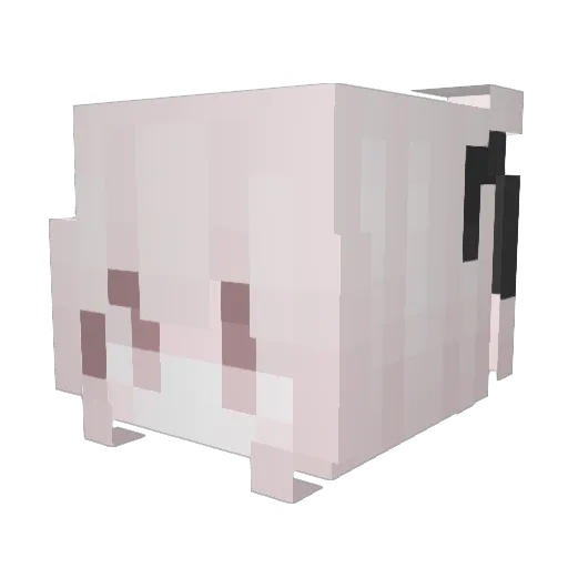 sofikofi Minecraft avatar head, 3D render