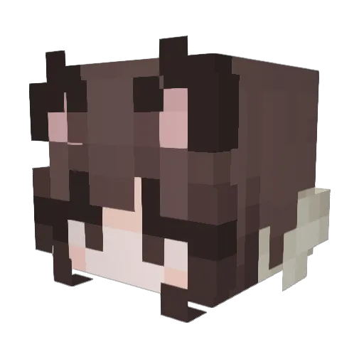 sofildy Minecraft avatar head, 3D render