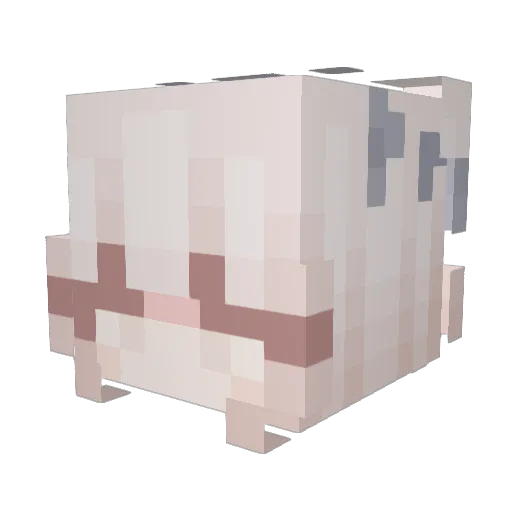 sofiwah Minecraft avatar head, 3D render