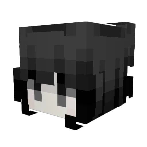 sofiyaaaaaa Minecraft avatar head, 3D render