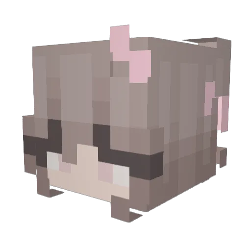 soflaa Minecraft avatar head, 3D render
