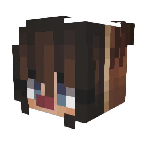 soft999 Minecraft avatar head, 3D render